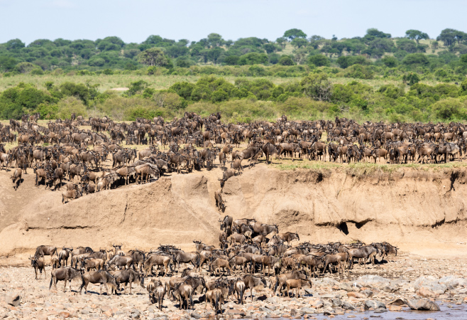To ensure a hassle-free experience when entering and leaving Tanzania