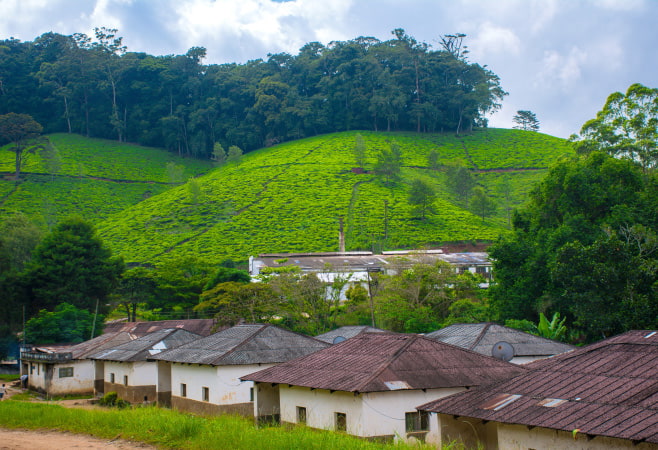 This guide is here to help you fully embrace your mountain adventure