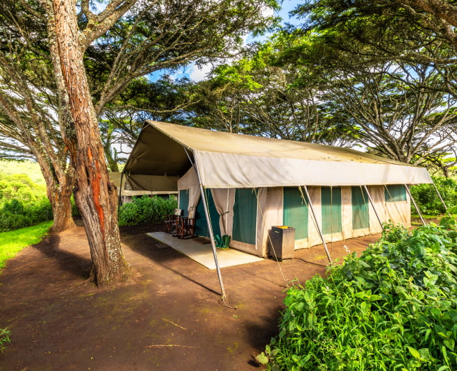 Accommodations in Nyerere national park include tented lodges, camps and hotels and they are categorized as budget, midrange and luxury facilities.