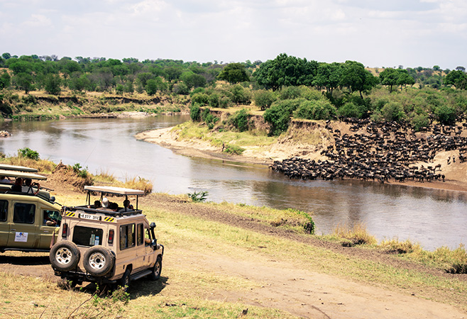 Serengeti National Park - travel to tanzania from canada