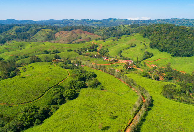 The Usambara Mountains  are known for their pleasant climate, beautiful view points and fertile slopes.