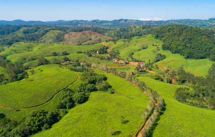 Discover the Green Heart of Tanzania: Your Guide to the Usambara Mountains