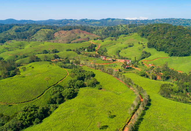 Usambara Mountains offer a unique blend of natural beauty, cultural heritage, and breathtaking landscapes.