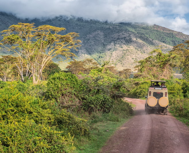 This verdant crater’s mossy, swampy habitat provides a natural sanctuary for elephants, buffalo and Colobus monkeys