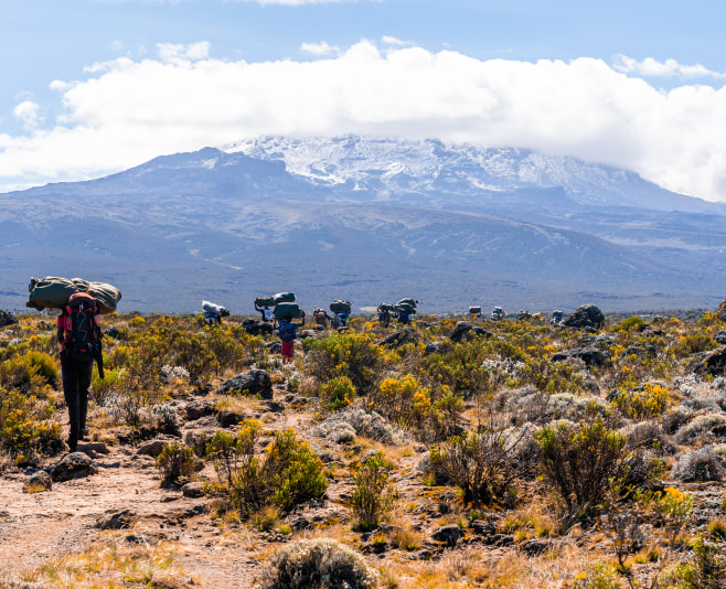 The Shira Plateau is the remnant of an ancient caldera, extending about 13 kilometers across to the west of the snow-covered Kibo summit.