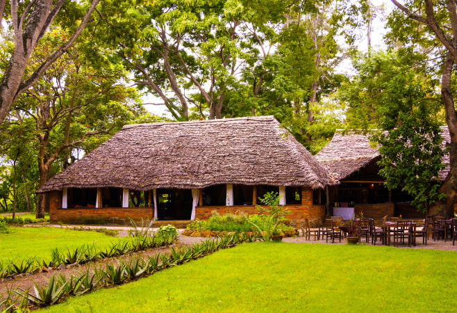 Accommodation in Ruaha National Park ranges from luxury lodges to budget-friendly camps