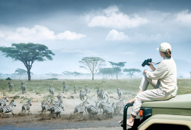Flight vs bus vs driving from Zimbabwe to Tanzania Flight vs bus vs driving from Zimbabwe to Tanzania